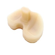 Вкладыш большеберцовый XN-PS